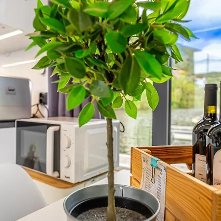 The Homeboat Company Pinhao-douro * Pinhão